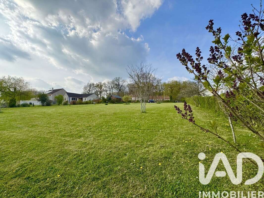 Photo 5 - Terrain à ALLIGNY-COSNE