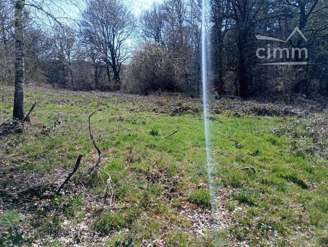 Terrain à ROYERE-DE-VASSIVIERE