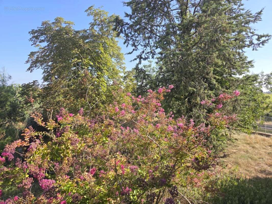 Maison à CAHUZAC-SUR-VERE