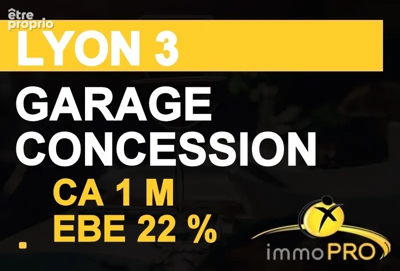 Commerce à LYON-3E