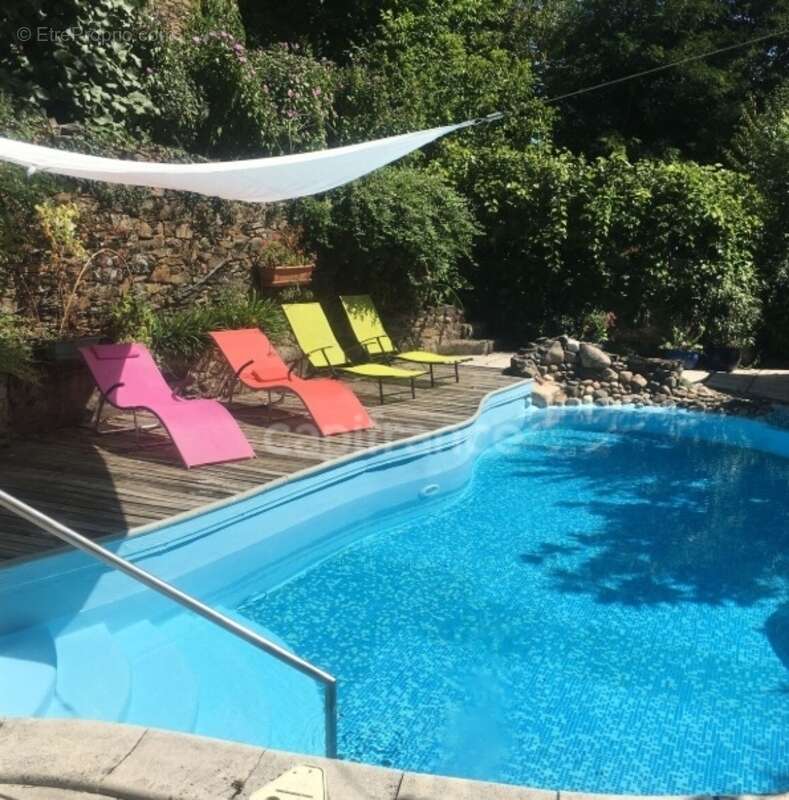 Maison à VIEILLEVIE