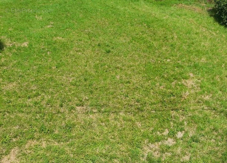 Terrain à MULHOUSE