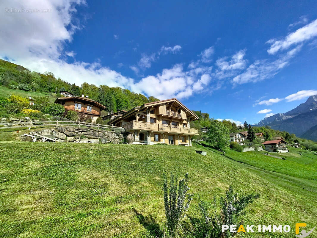 Coteau de saint roch chalet 215 m2 face mont blanc - photo 24