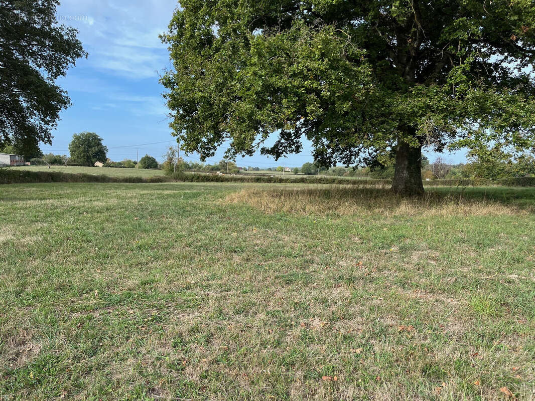 Terrain à LA NOCLE-MAULAIX
