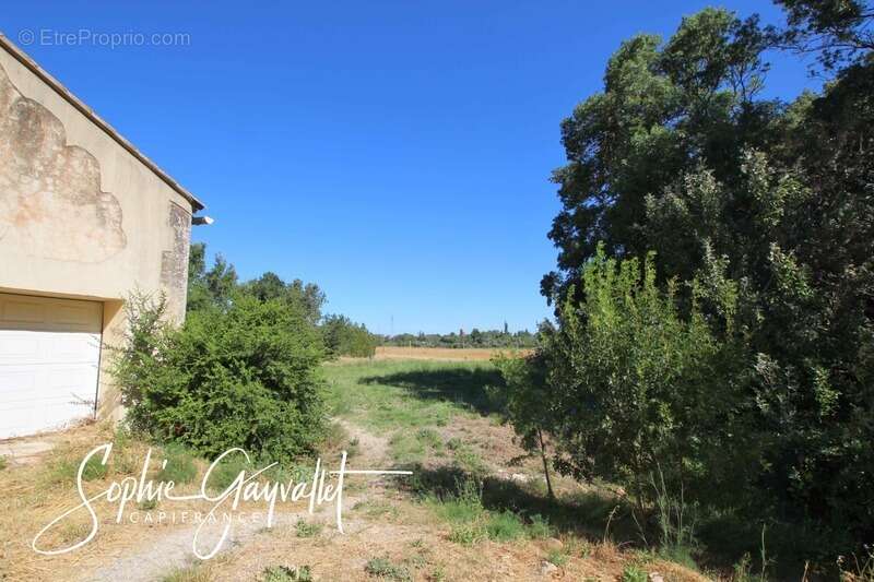 Viager libre – investissement patrimonial rare – mas des templiers - photo 6