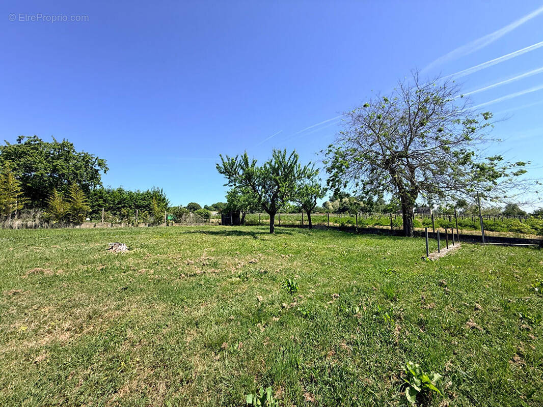 Terrain à FRONSAC