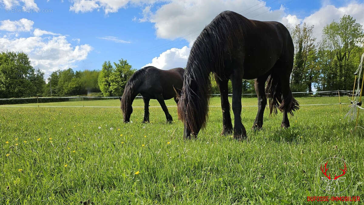 Propriété avec potentiel rare d'activités multiples au coeur du Lot - photo 4