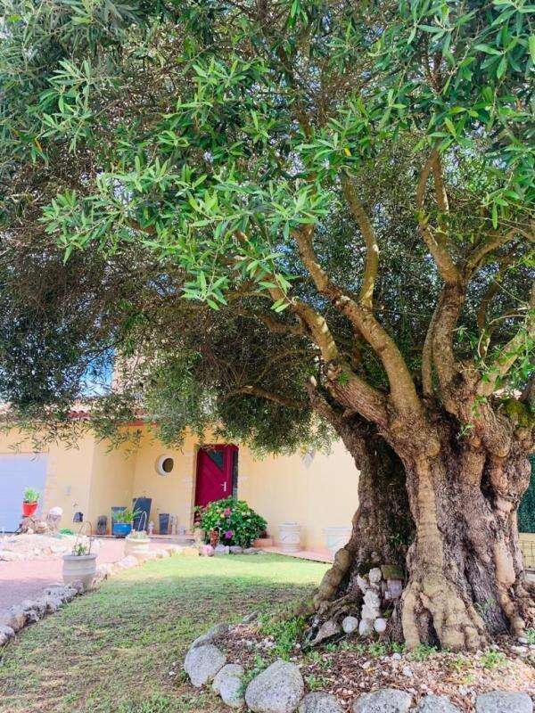 Maison à SAINT-ALBAN