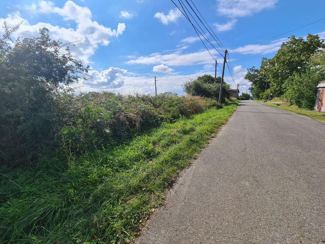 Terrain à ARZACQ-ARRAZIGUET