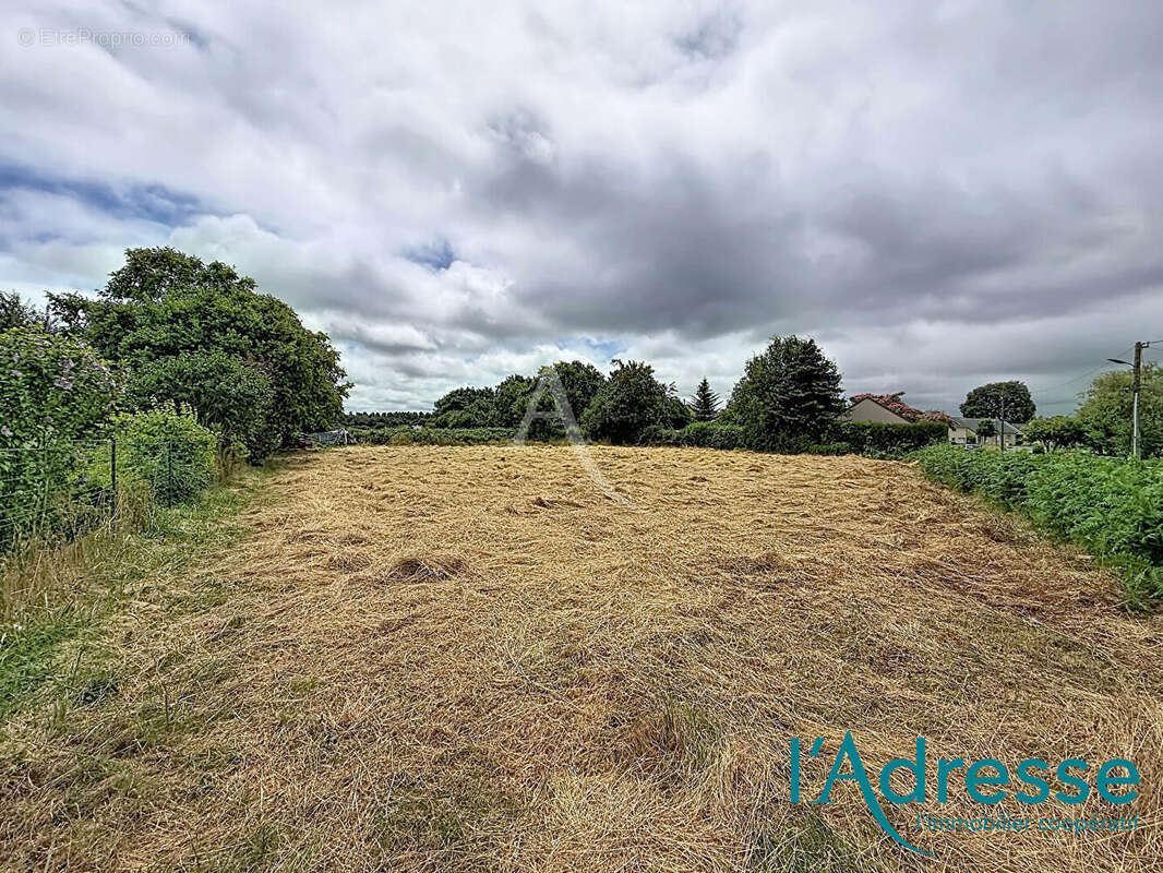 Terrain Belgeard 1000 m² - photo 4