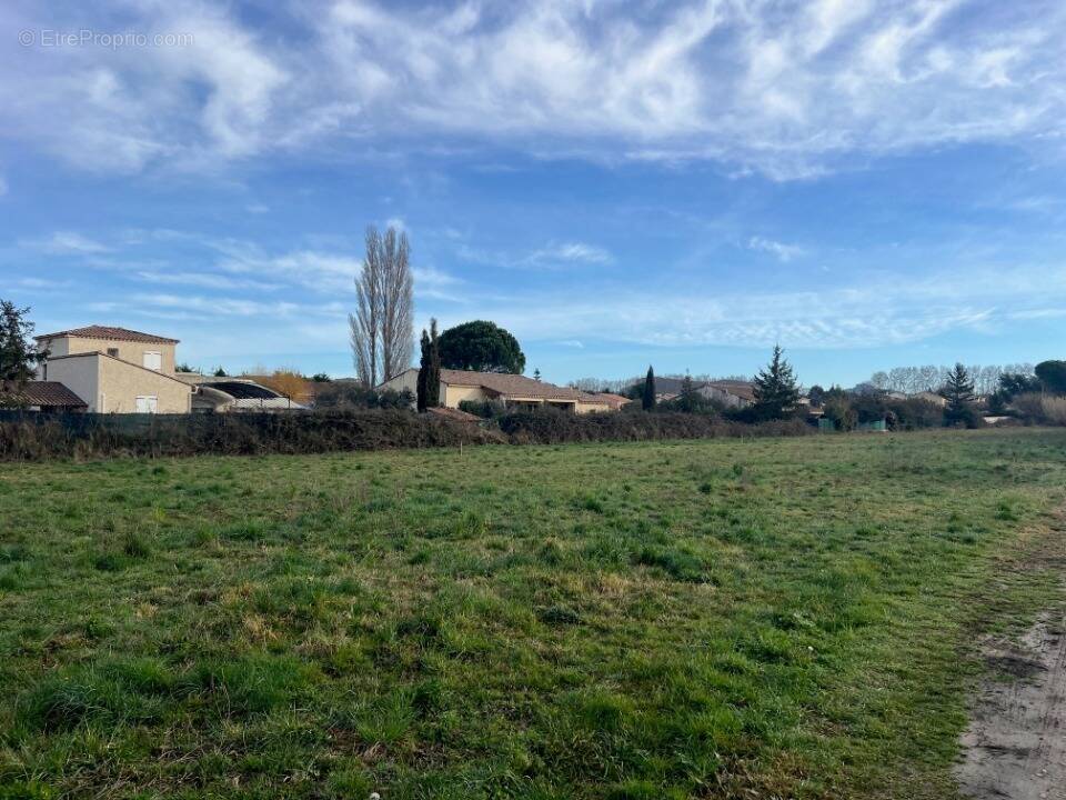 Terrain à FONTVIEILLE