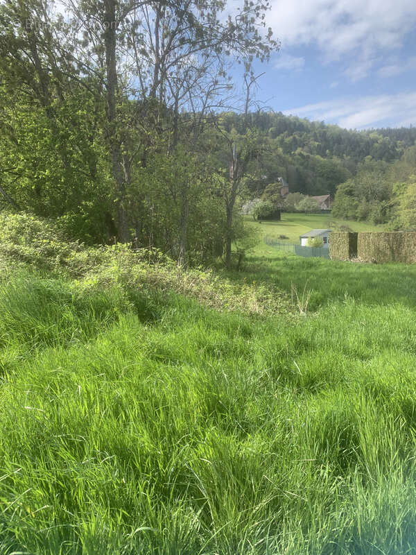 Terrain à REINHARDSMUNSTER