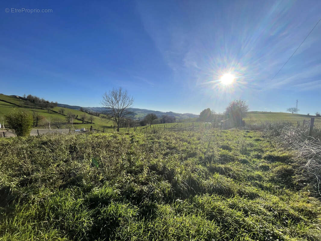 Photo 2 - Maison à AMPLEPUIS