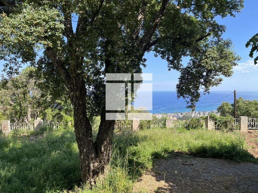 Terrain à BASTIA