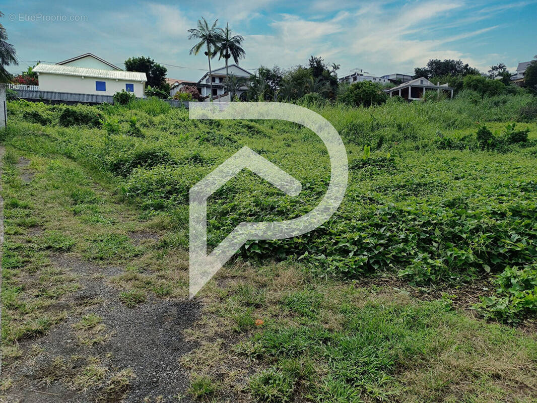 Terrain à LE TAMPON