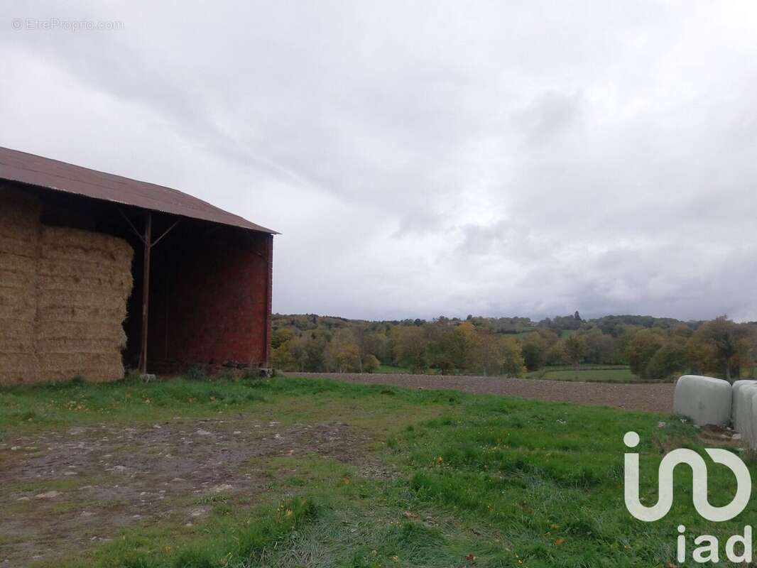 Photo 3 - Maison à VILLOSANGES