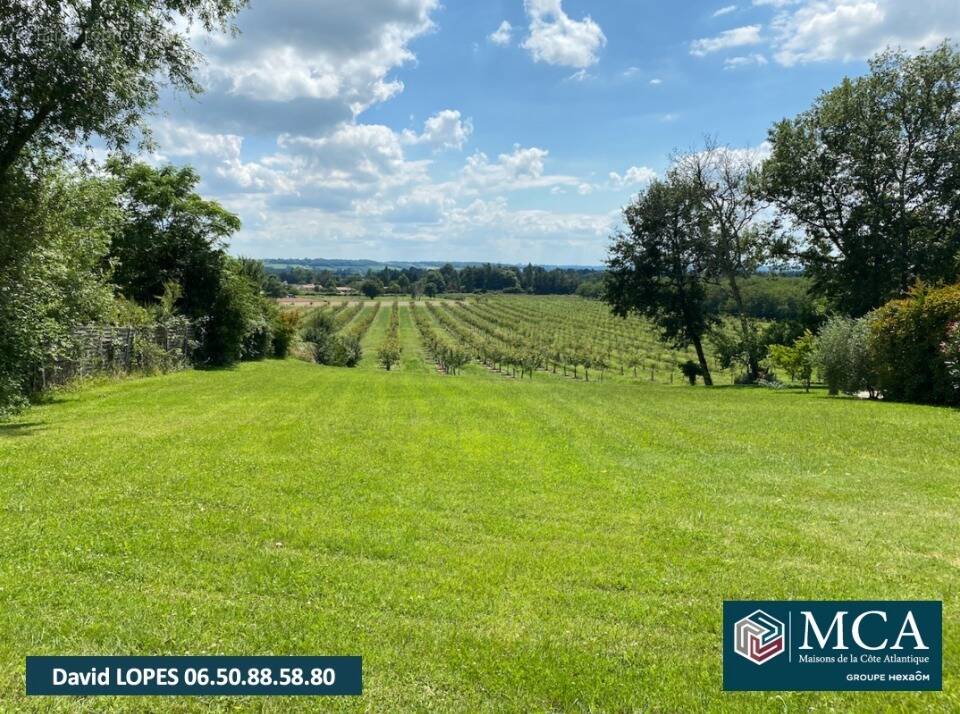 Terrain à LAMOTHE-MONTRAVEL