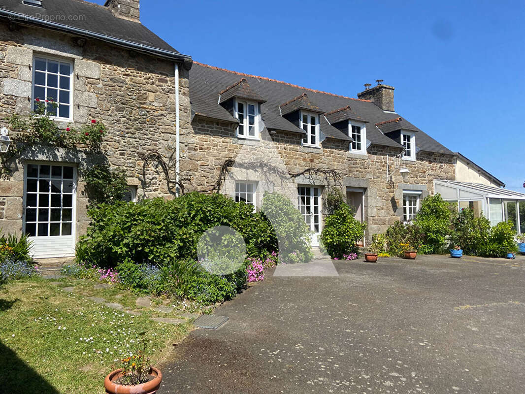 Maison à PLAINE-HAUTE