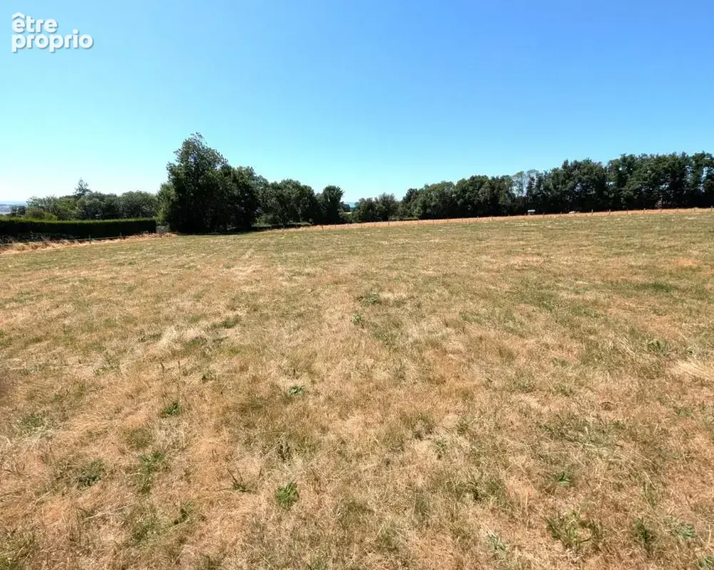 Terrain 1000 m² à Pradines  - photo 2