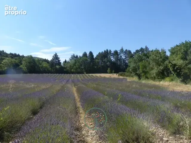 Authentique mas en pierre - photo 9