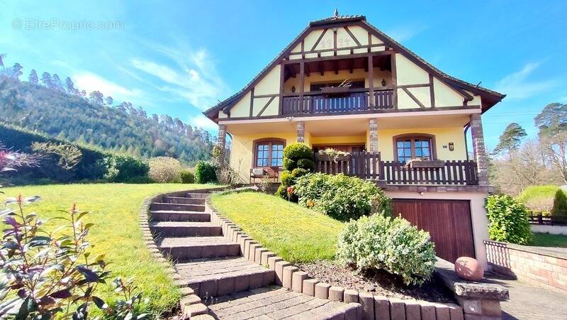 Maison à BAERENTHAL