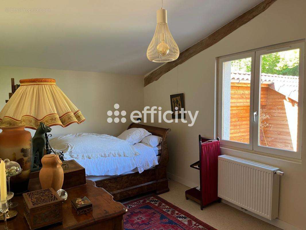 Maison 257 m² à Vernioz  - photo 16