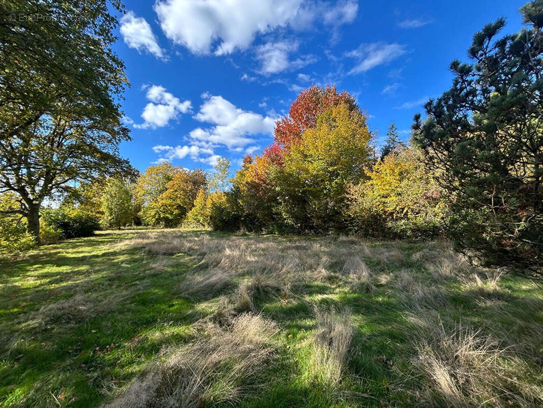 Maison à SAINT-DIE-DES-VOSGES