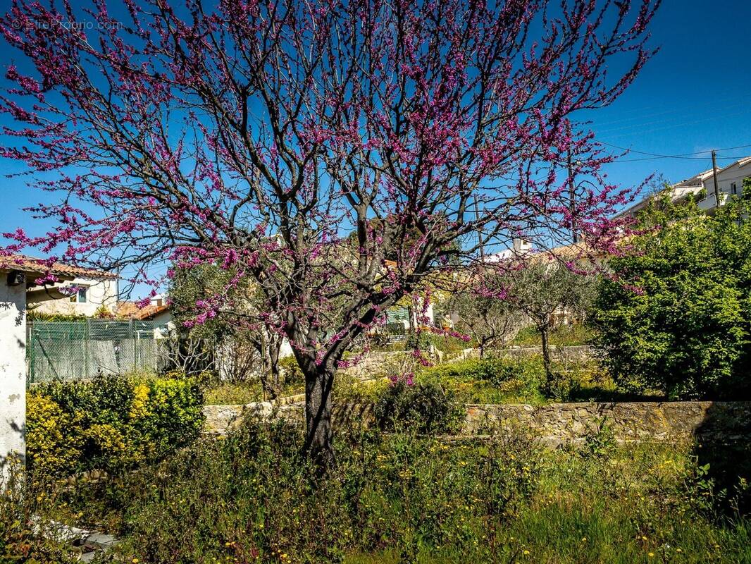 Terrain à MARSEILLE-9E