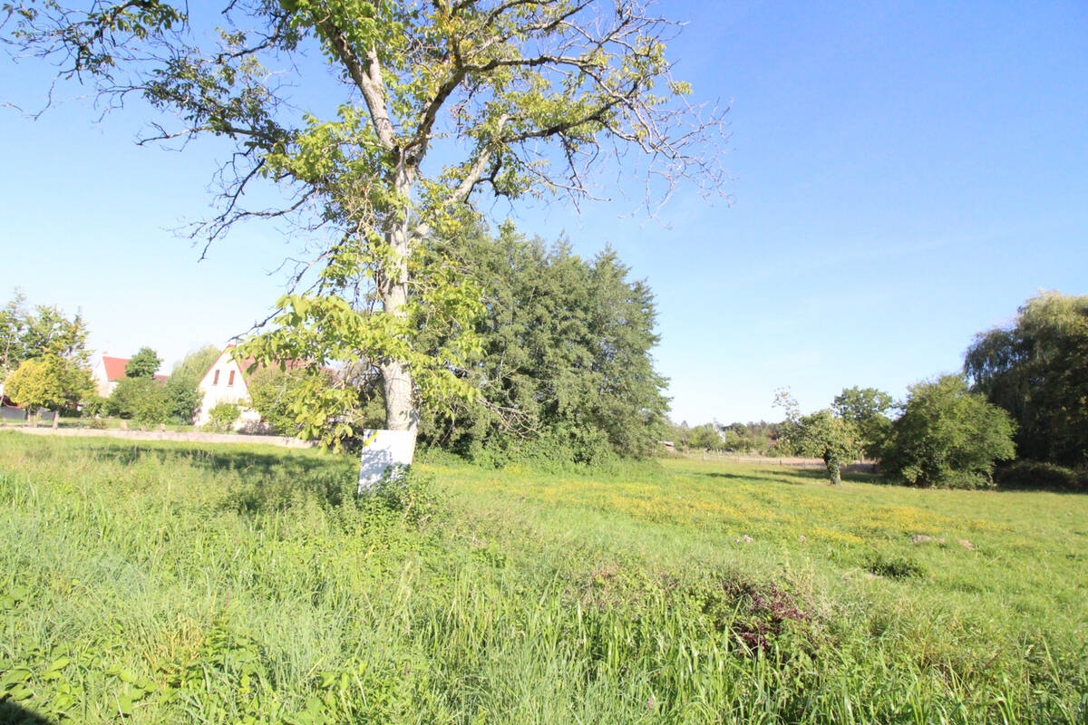 Terrain à AUXONNE