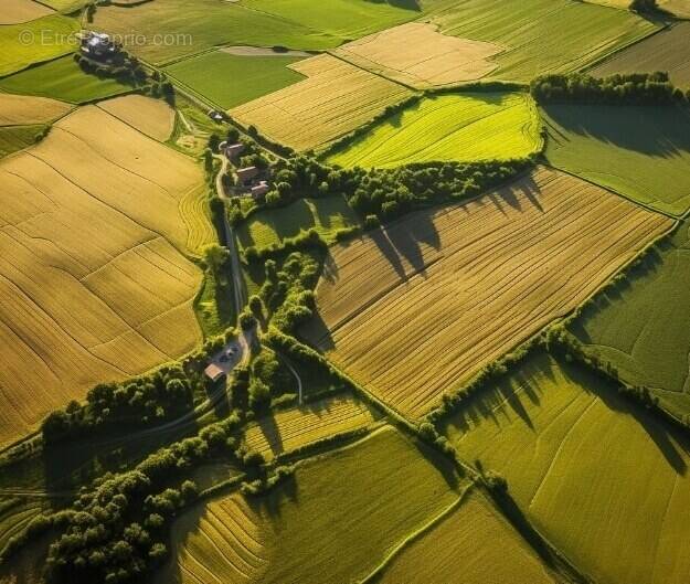 Terrain à DOMPIERRE-SUR-YON