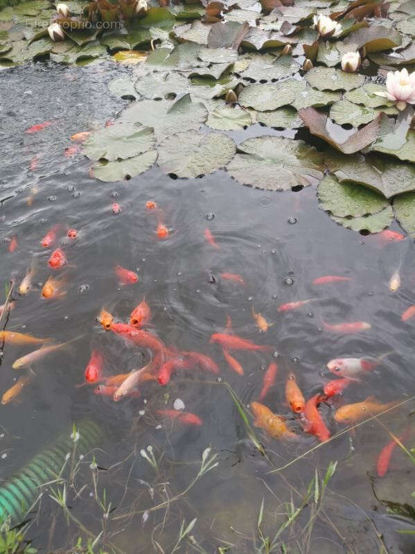 Maison à ALBERTVILLE