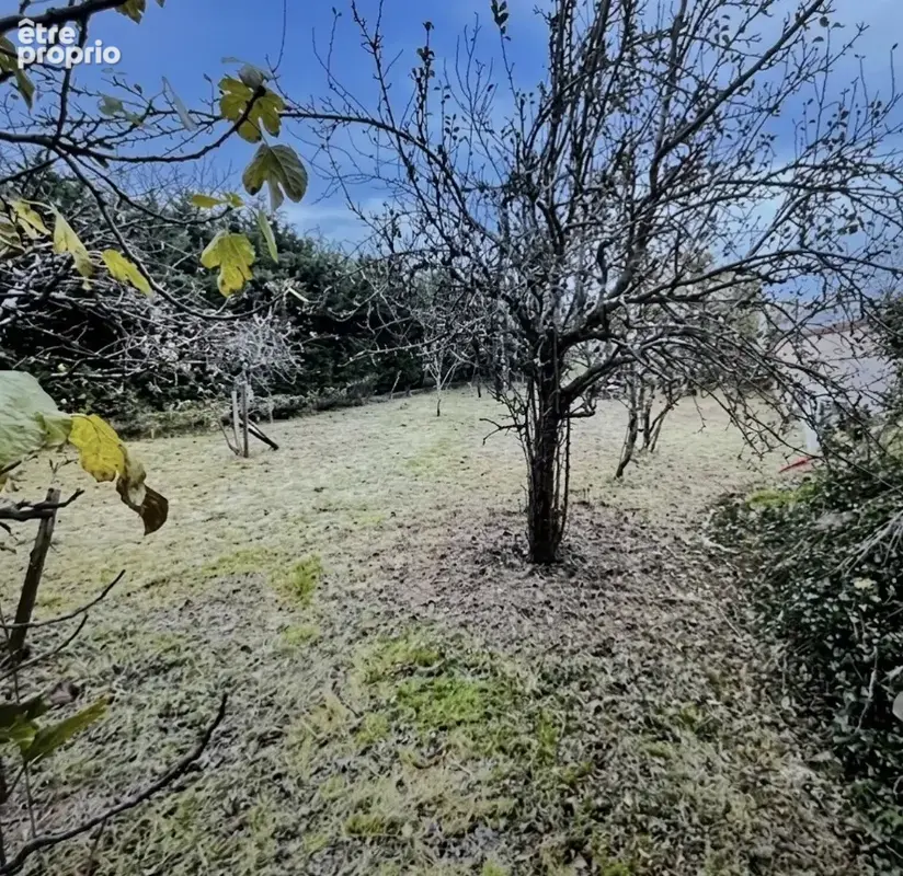 Photo Terrain à Marquefave au prix de 50 000€