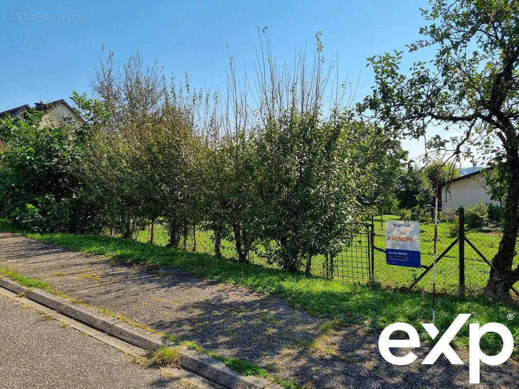 Terrain à SARREBOURG