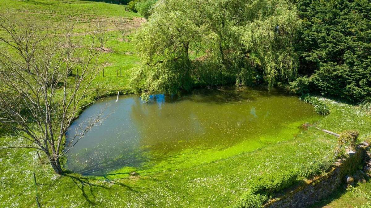 Propriété de caractère Vallée de la dordogne - photo 3