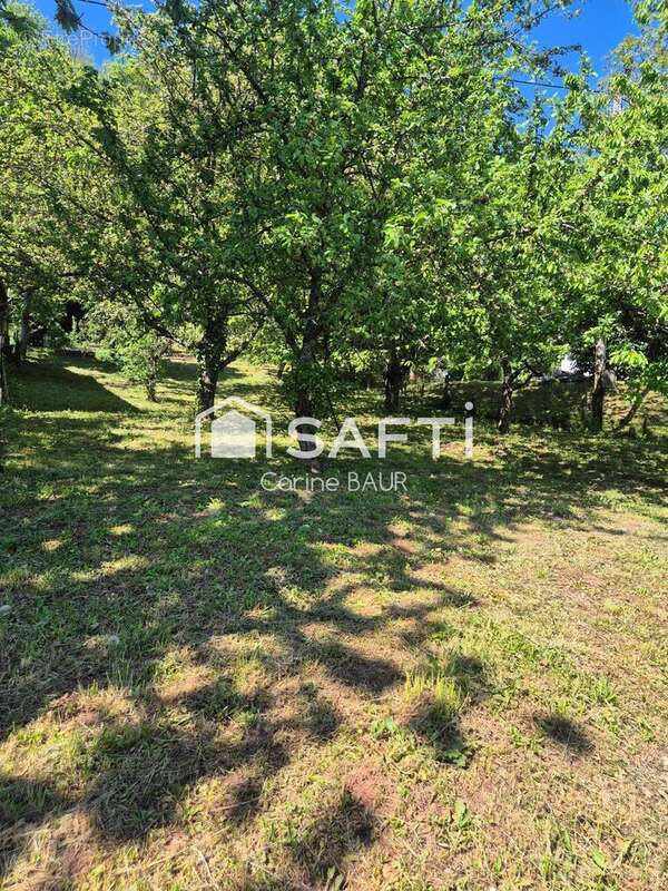 Photo 2 - Terrain à STEINBACH