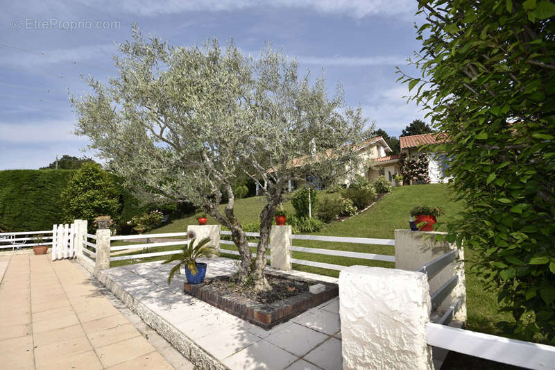 Maison à BELLEGARDE-POUSSIEU