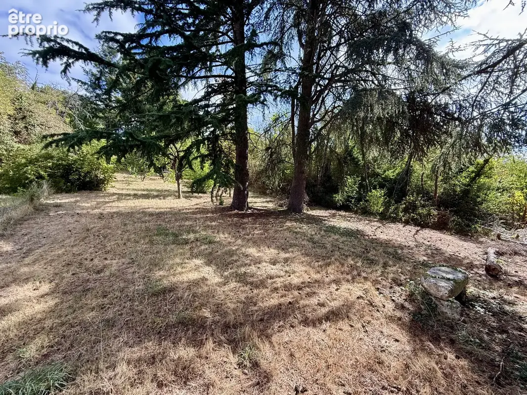 Local Commercial + Appartement T5 sur un terrain de 1615 m2 - photo 4