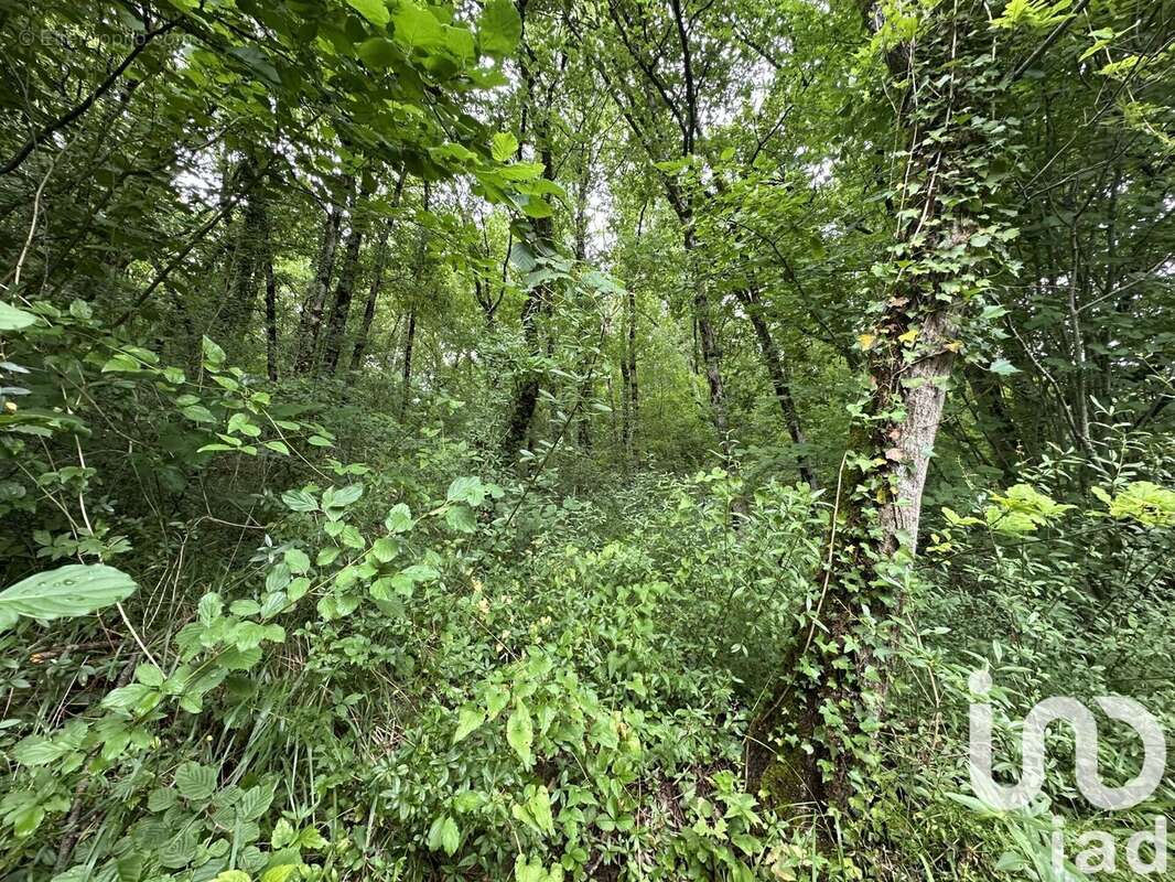 Photo 5 - Terrain à SAINT-CERE