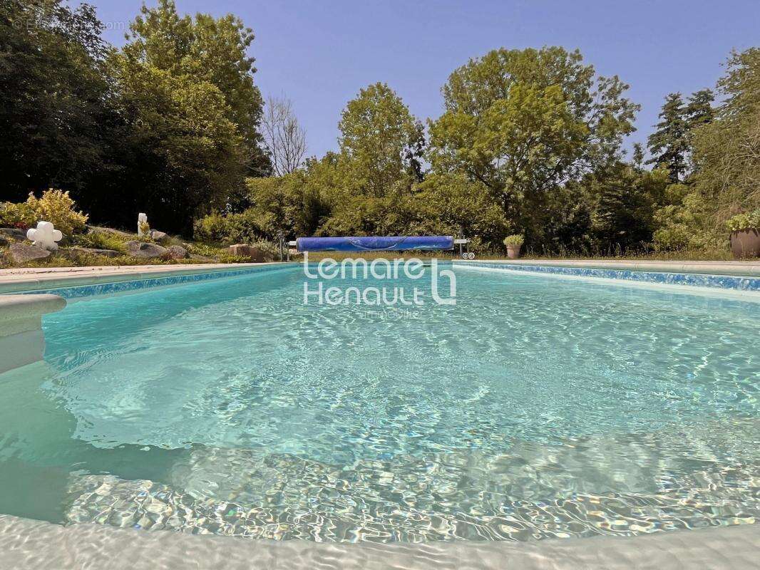 Superbe propriété 6 chambres, piscine sur 6800 m² de terrain - photo 6