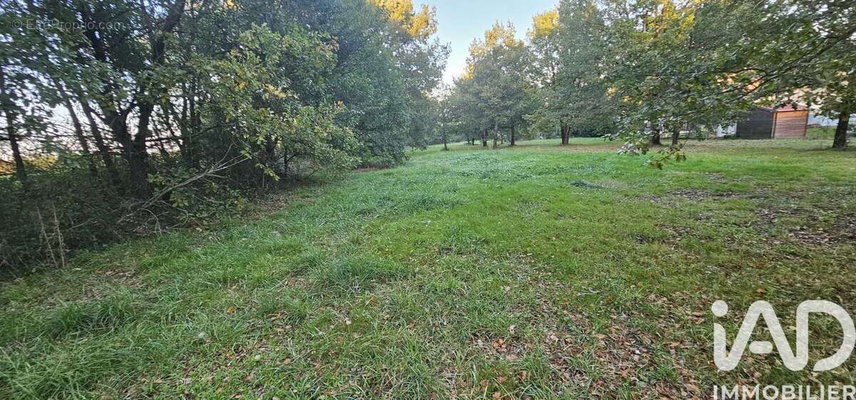 Terrain 2207 m² à Mauressac  - photo 6