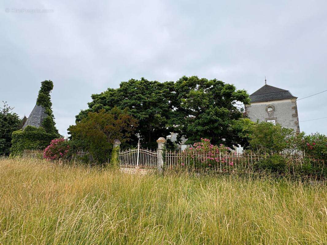 Château confidentiel à Massugas, dominant les côteaux, entre Pellegrue et Sauveterre de Guyenne - photo 9
