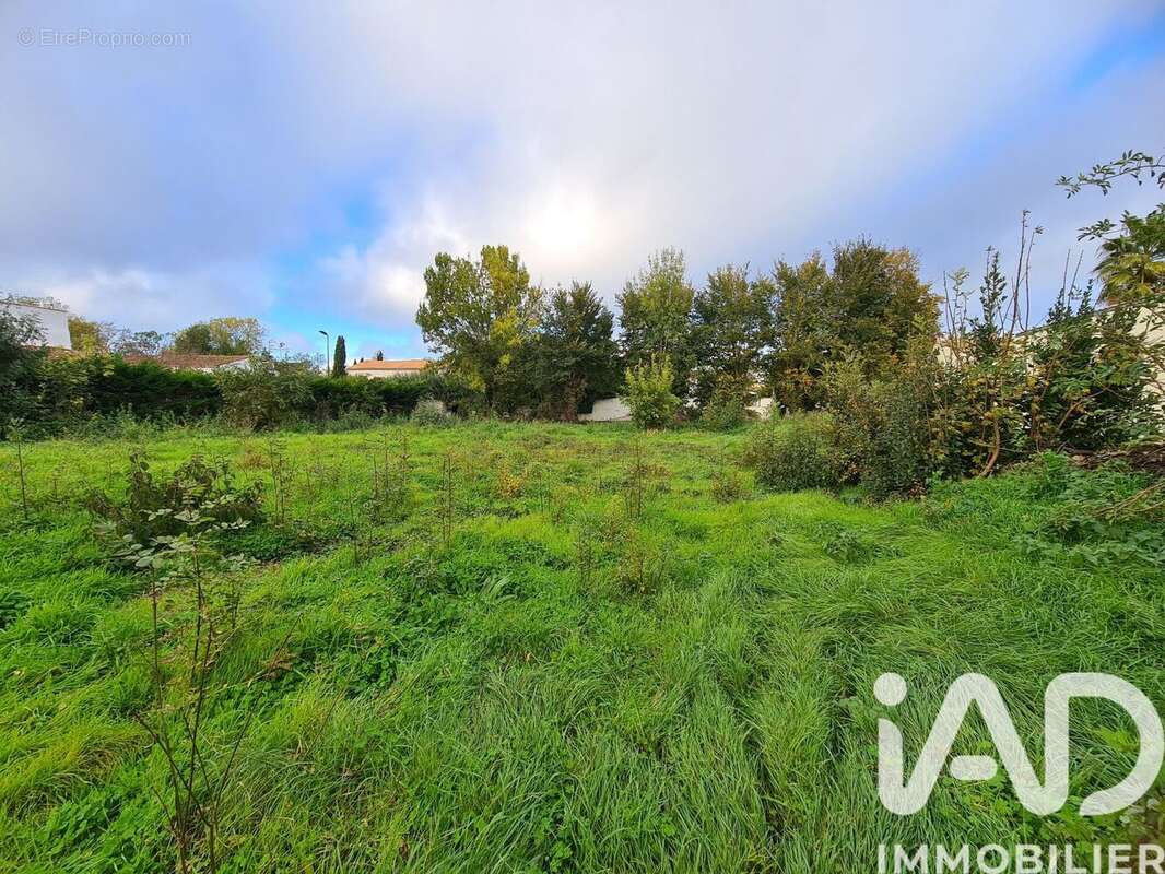Photo 2 - Terrain à SAINT-MEDARD-D'AUNIS