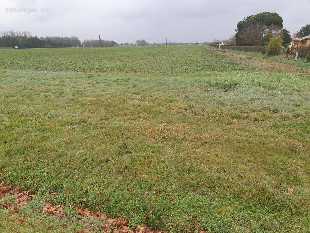 Terrain à LE POUT