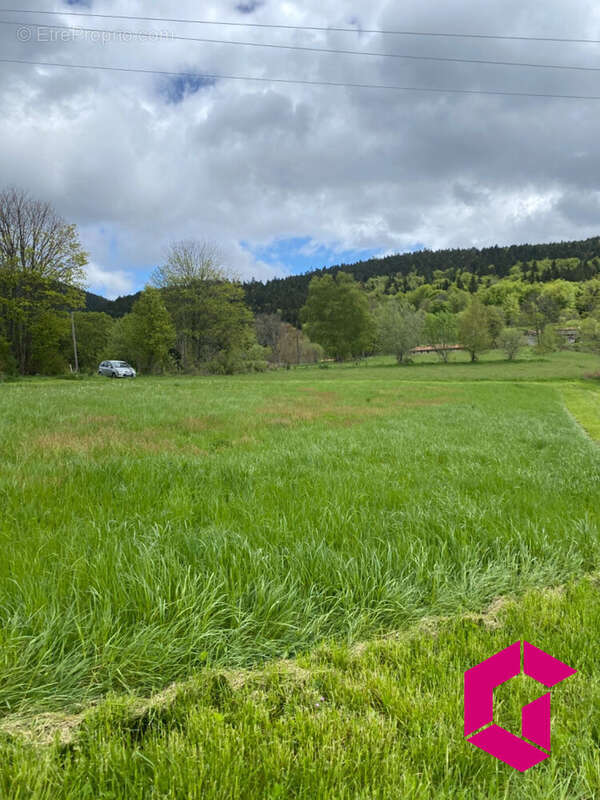 Terrain à LE BRUGERON