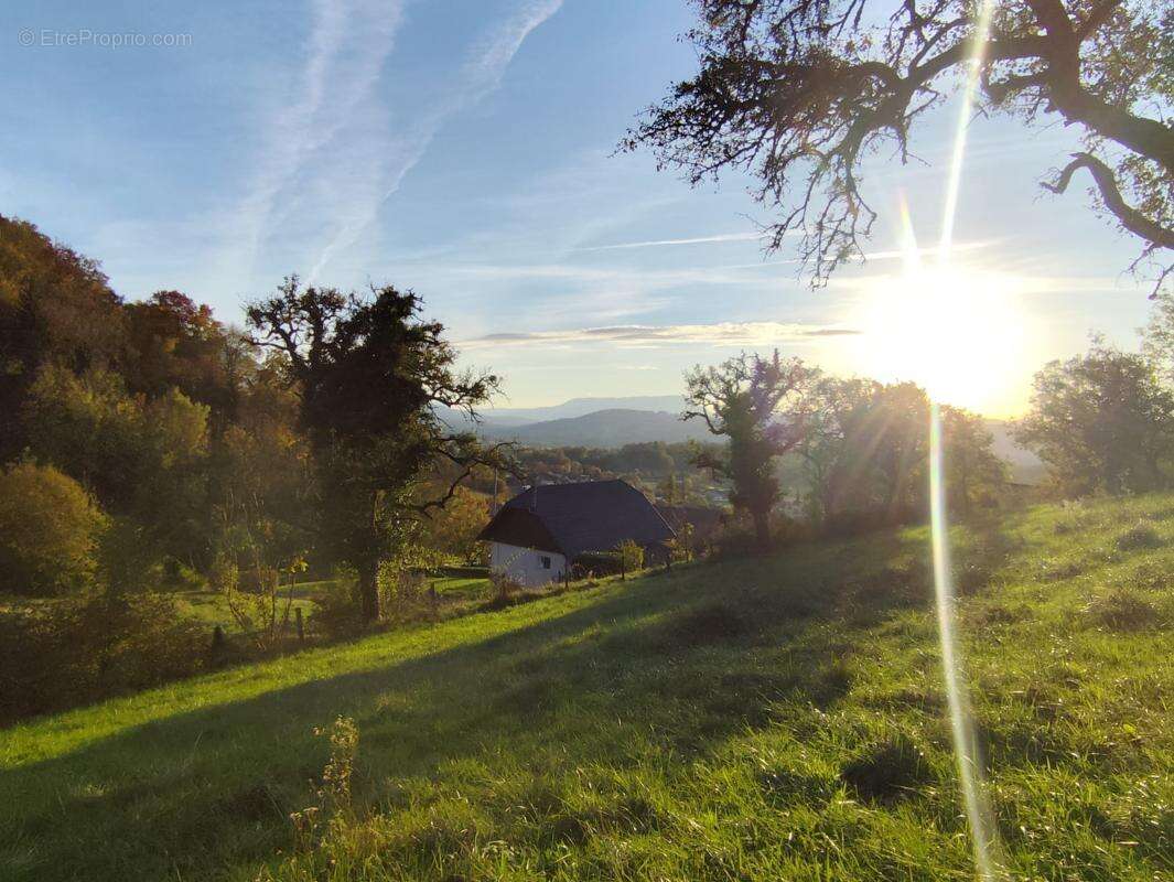 Appartement à VIUZ-LA-CHIESAZ