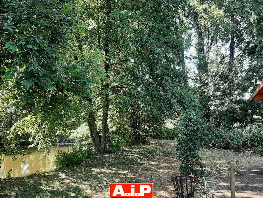 Terrain 61114 m² à Breuil-Barret  - photo 3