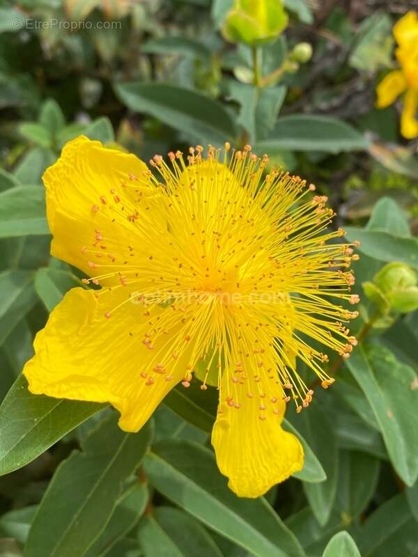 Maison à DIGNE-LES-BAINS