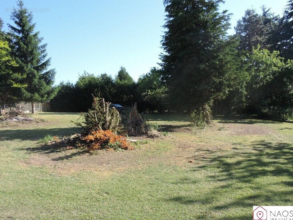 Terrain à FONTENAY-SUR-LOING