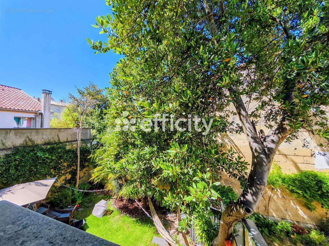 Appartement - photo 3