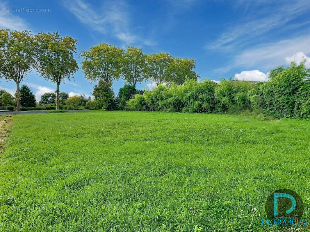 Terrain à SAINT-BENIGNE